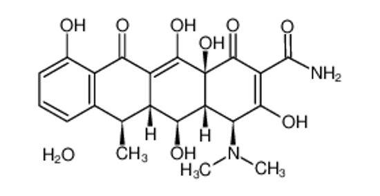 Picture of doxycycline monohydrate