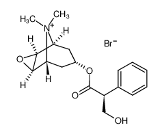 Picture of scopolamine methobromide