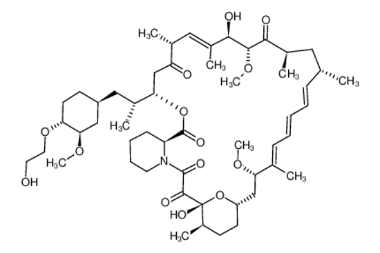 Picture of Everolimus