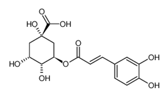 Picture of chlorogenic acid（Eucommia bark P.E）