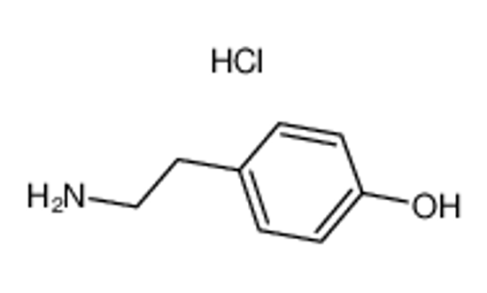 Picture of Tyramine hydrochloride