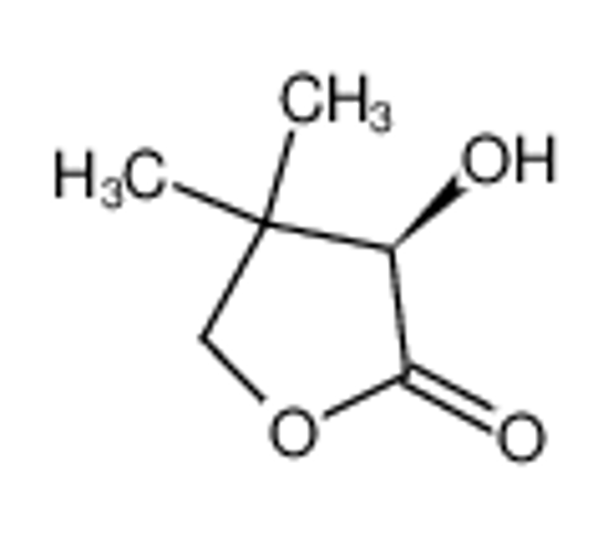 Picture of (R)-pantolactone