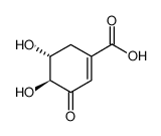 Picture of (-)-3-Dehydro Shikimic Acid