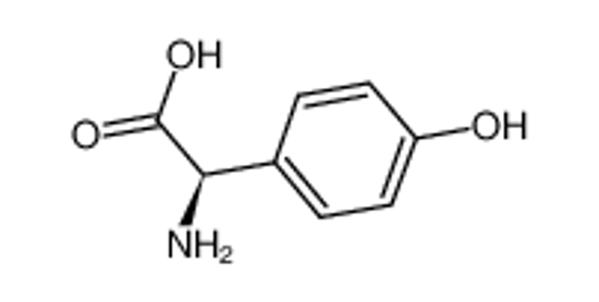 Picture of D-4-hydroxyphenylglycine