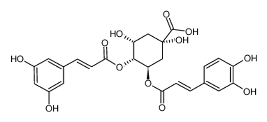 Imagem de (1S,3R,4R,5R)-3,4-Bis[[(E)-3-(3,4-dihydroxyphenyl)prop-2-enoyl]oxy]-1,5-dihydroxycyclohexane-1-carboxylic acid