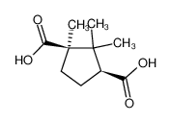 Picture of D-(+)-Camphoric acid