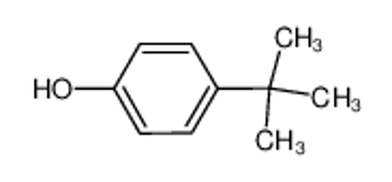 Picture of 4-tert-butylphenol