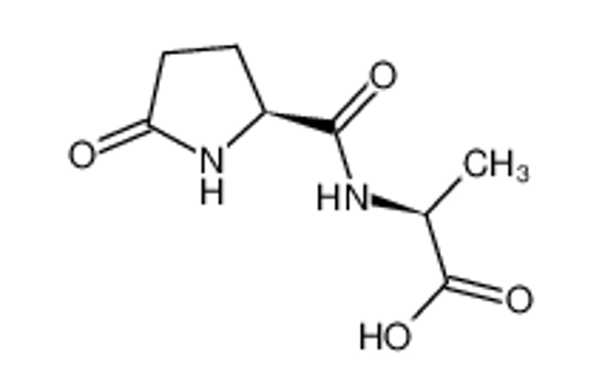 Picture of (2S)-2-[[(2S)-5-oxopyrrolidine-2-carbonyl]amino]propanoic acid