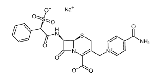 Picture of Cefsulodin Sodium Salt