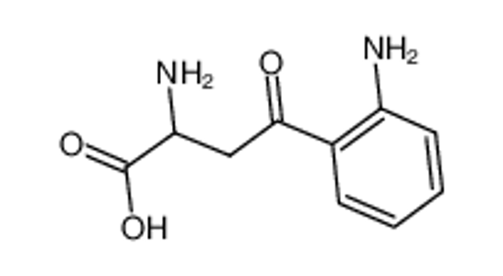 Picture of kynurenine