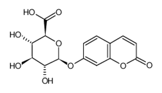Picture of 7-hydroxycoumarin O7-glucosiduronic acid