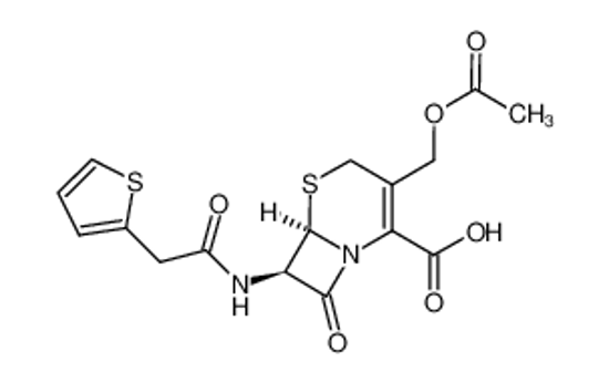 Picture of cefalotin