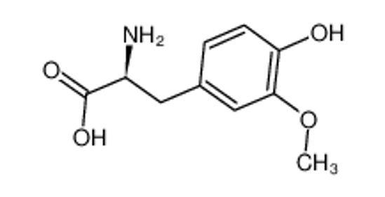 Picture of 3-O-methyldopa