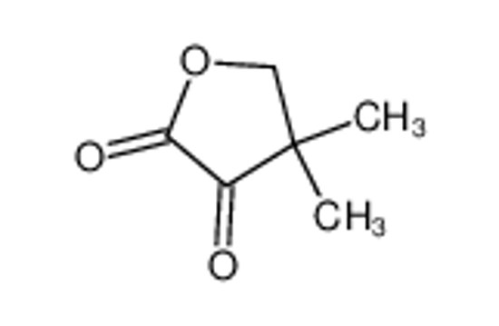 Picture of 2-dehydropantolactone