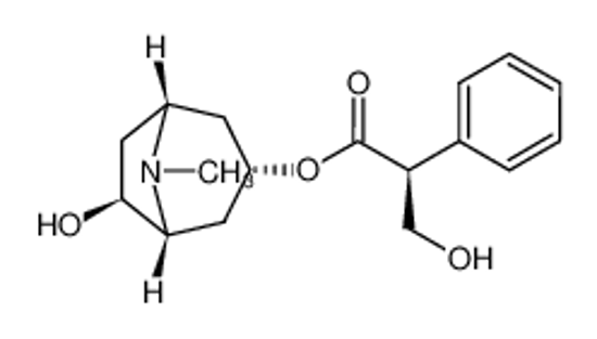 Picture of (-)-Anisodamine