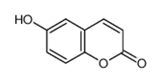 Picture of 6-Hydroxycoumarin