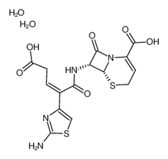 Picture of ceftibuten dihydrate