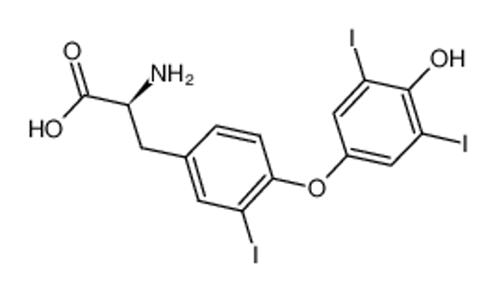Picture of 3,3',5'-triiodothyronine