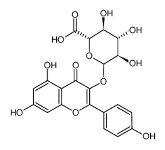 Picture of (2S,3S,4S,5R,6S)-6-[5,7-dihydroxy-2-(4-hydroxyphenyl)-4-oxochromen-3-yl]oxy-3,4,5-trihydroxyoxane-2-carboxylic acid