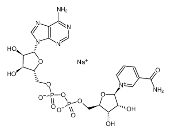 Picture of β-NICOTINAMIDE ADENINE DINUCLEOTIDE SODIUM SALT