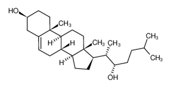 Imagem de (22R)-22-hydroxycholesterol
