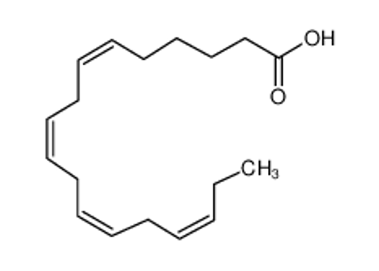 Picture of all-cis-octadeca-6,9,12,15-tetraenoic acid