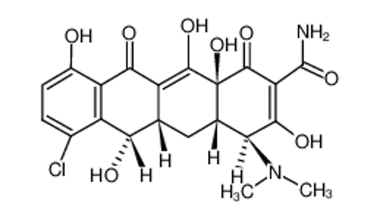 Picture of demeclocycline