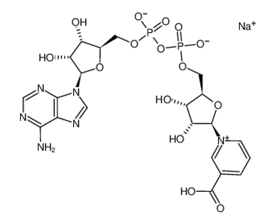 Изображение [[5-(6-aminopurin-9-yl)-3,4-dihydroxyoxolan-2-yl]methoxy-hydroxyphosphoryl] [5-(3-carboxypyridin-1-ium-1-yl)-3,4-dihydroxyoxolan-2-yl]methyl phosphate,sodium