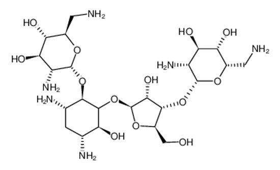 Picture of framycetin