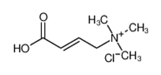 Picture of [(E)-3-carboxyprop-2-enyl]-trimethylazanium,chloride