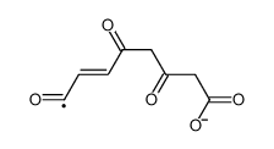 Picture of 4-fumarylacetoacetic acid