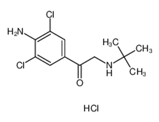 Изображение 4-Amino-3,5-dichlor-α-tert.-butylamino-acetophenon HCl