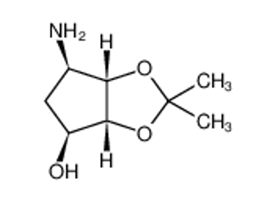 Изображение (3aR,4S,6R,6aS)-6-Aminotetrahydro-2,2-dimethyl-4H-cyclopenta-1,3-dioxol-4-ol