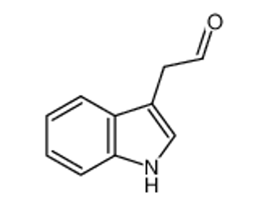 Изображение indol-3-ylacetaldehyde