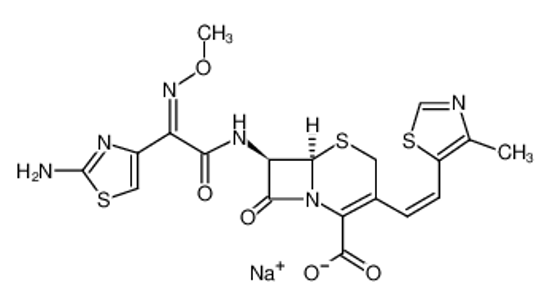 Picture of Cefditoren Acid Sodium Salt