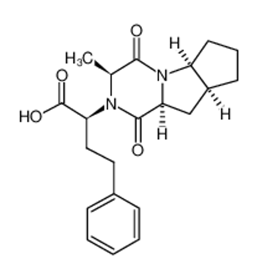 Picture of Ramiprilat Diketopiperazine