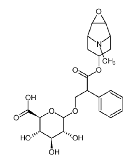 Picture of Scopolamine β-D-Glucuronide