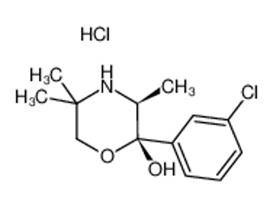 Imagem de (2S,3S)-Hydroxybupropion hydrochloride