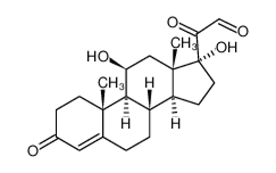 Изображение 21-dehydrocortisol