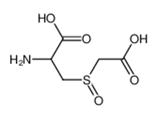 Picture of 2-amino-3-(carboxymethylsulfinyl)propanoic acid