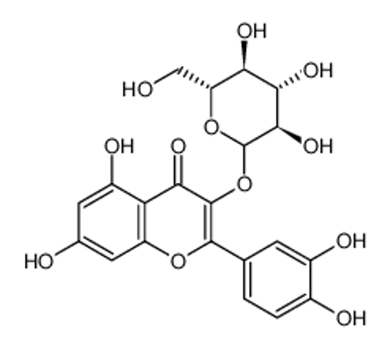 Imagem de Quercetin 3-β-D-glucoside
