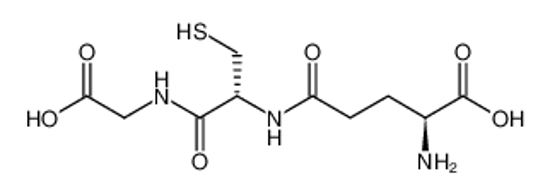 Picture of Glutathione Reduced