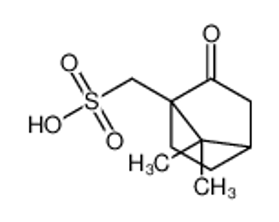 Изображение DL-10-Camphorsulfonic Acid