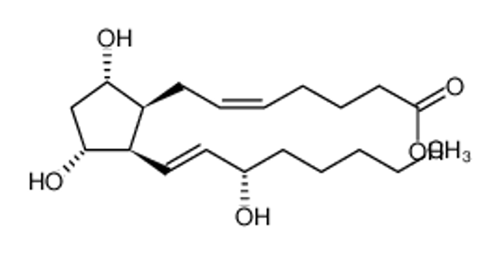 Picture of 8-epi-prostaglandin F2α