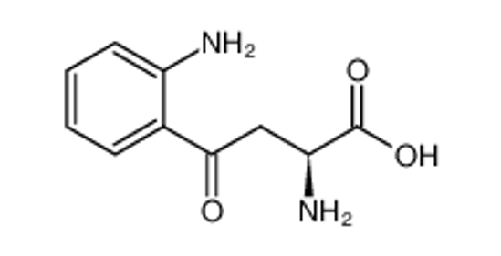 Picture of L-kynurenine