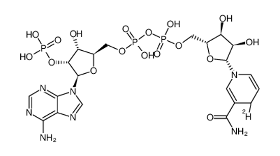 Picture of [[(2R,4S,5R)-5-(6-aminopurin-9-yl)-3-hydroxy-4-phosphonooxyoxolan-2-yl]methoxy-hydroxyphosphoryl] [(2R,4S,5R)-5-[(4S)-3-carbamoyl-4-deuterio-4H-pyridin-1-yl]-3,4-dihydroxyoxolan-2-yl]methyl hydrogen phosphate