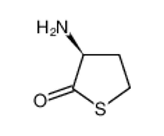 Picture of HOMOCYSTEINE THIOLACTONE