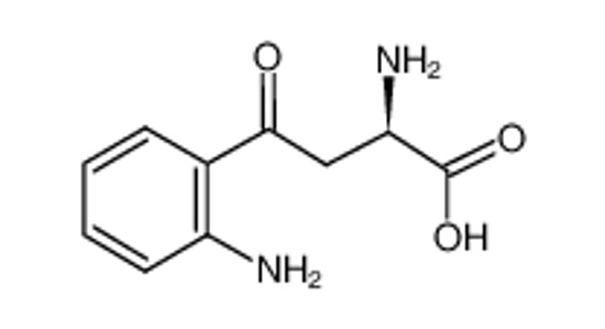 Изображение D-kynurenine