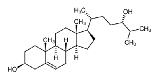Изображение (24S)-24-hydroxycholesterol