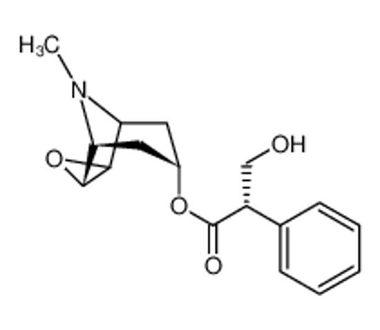 Picture of Scopolamine